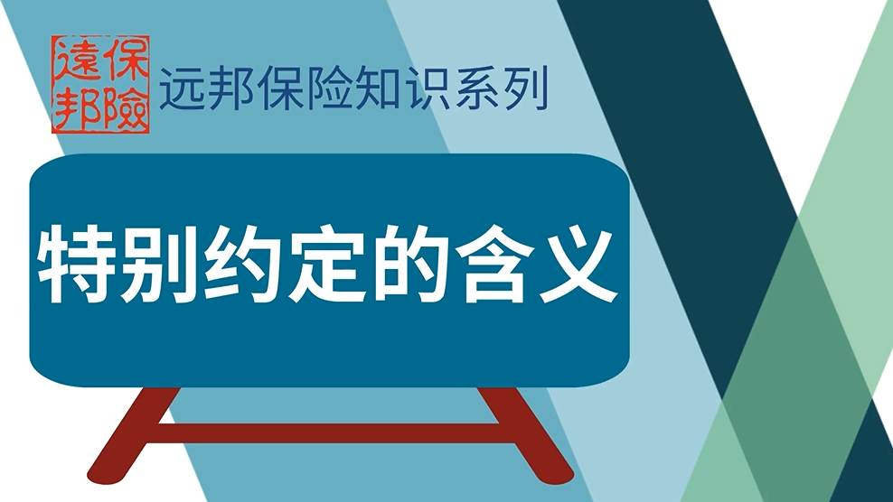 国内货物运输保险单中的特别约定的含义